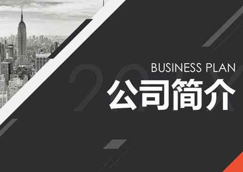 深圳市視通聯合電子有限公司公司簡介